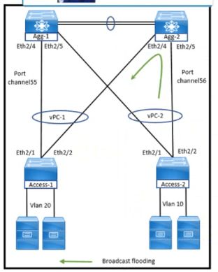 Cisco 350-601 image Question 233 116963 10102024233033000000