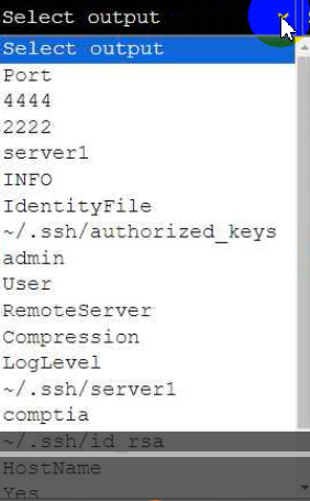 CompTIA XK0-005 image Question 337 114188 10092024013414000000