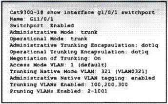 Cisco 200-301 image Question 770 110278 10072024004422000000