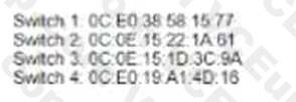 Cisco 200-301 image Question 108 109616 10072024004420000000