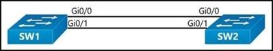 Cisco 350-401 image Question 222 115521 10102024232942000000