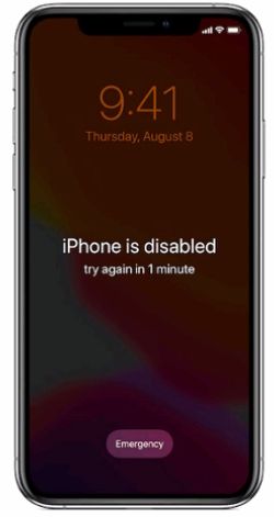 Apple Apple Device Support image Question 65 63882692083955765510791