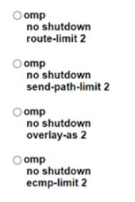 Cisco 300-415 image Question 258 111774 10072024005822000000
