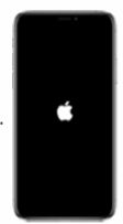 Apple Apple Device Support image Question 66 63882692083971390027153