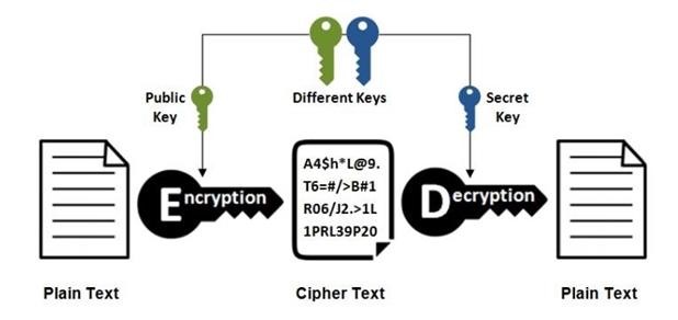 Blockchain CBSA image Question 19 20280 09162024192153000000