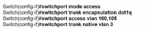 Cisco 200-301 image Question 868 110376 10072024004422000000