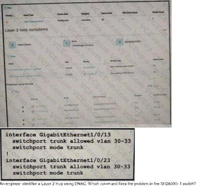 Cisco 300-410 image Question 117 111063 10072024005413000000
