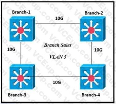 Cisco 200-301 image Question 337 109845 10072024004420000000