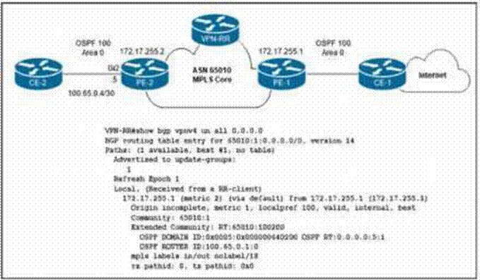 Cisco 350-501 image Question 203 116485 10102024233011000000