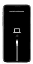 Apple Apple Device Support image Question 66 63882692083971390027153