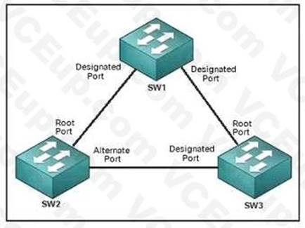Cisco 300-420 image Question 104 112002 10072024005836000000