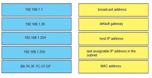 Cisco 200-301 image Question 12 110388 10072024124422000
