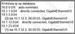 Cisco 300-410 image Question 442 111388 10072024005414000000