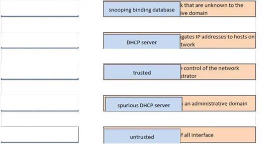 Cisco 200-301 image answer Question 39 110415 10072024124422000