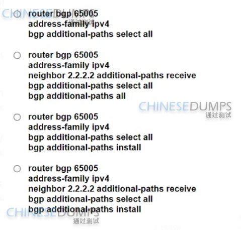 Cisco 300-510 image Question 210 6387913385031102339603