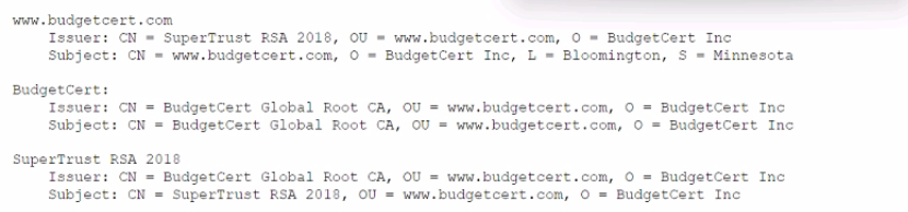 CompTIA CAS-004 image Question 502 94470 10022024175035000000